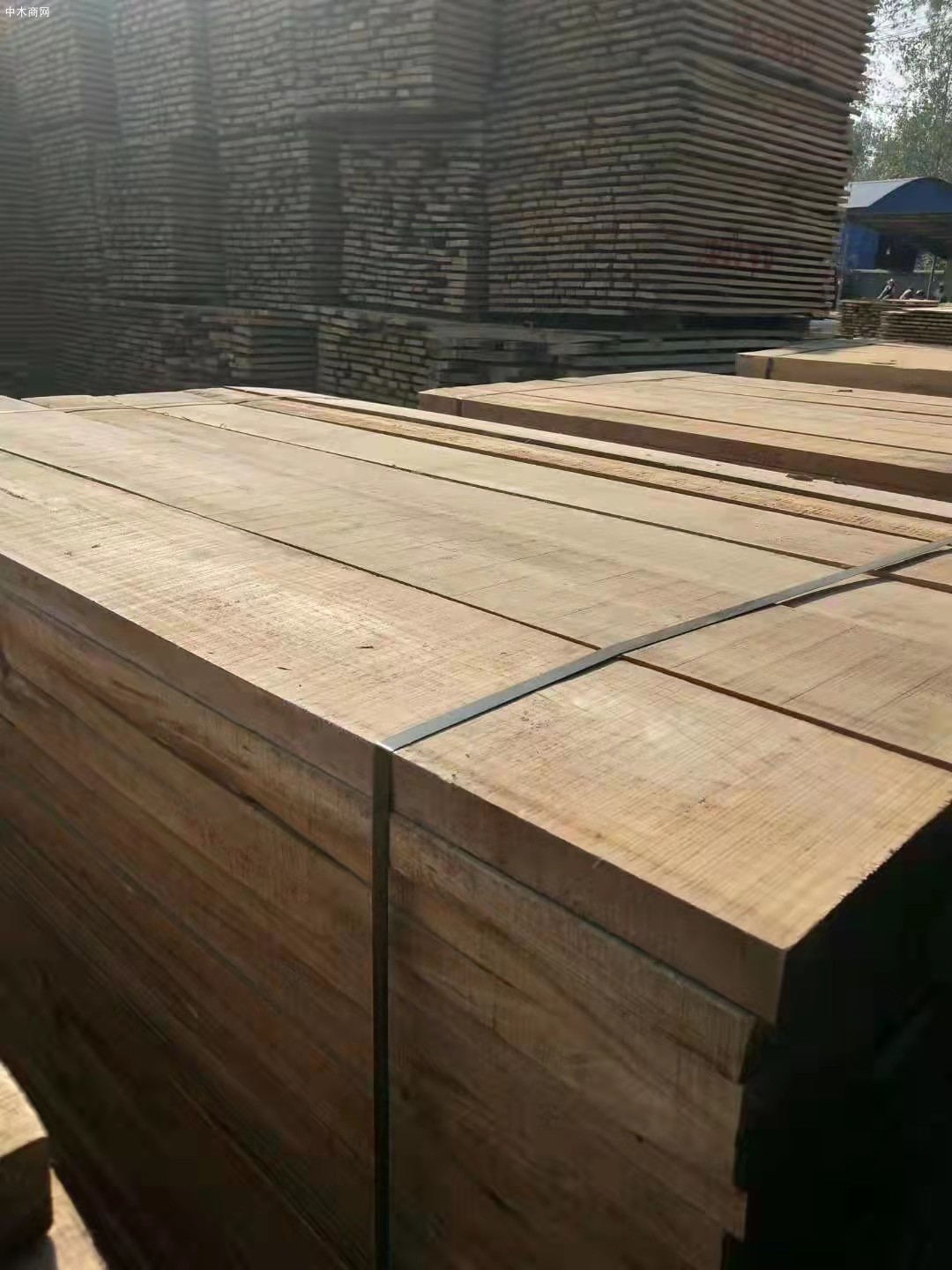 河南白杨木烘干板材生产厂家高清视频价格