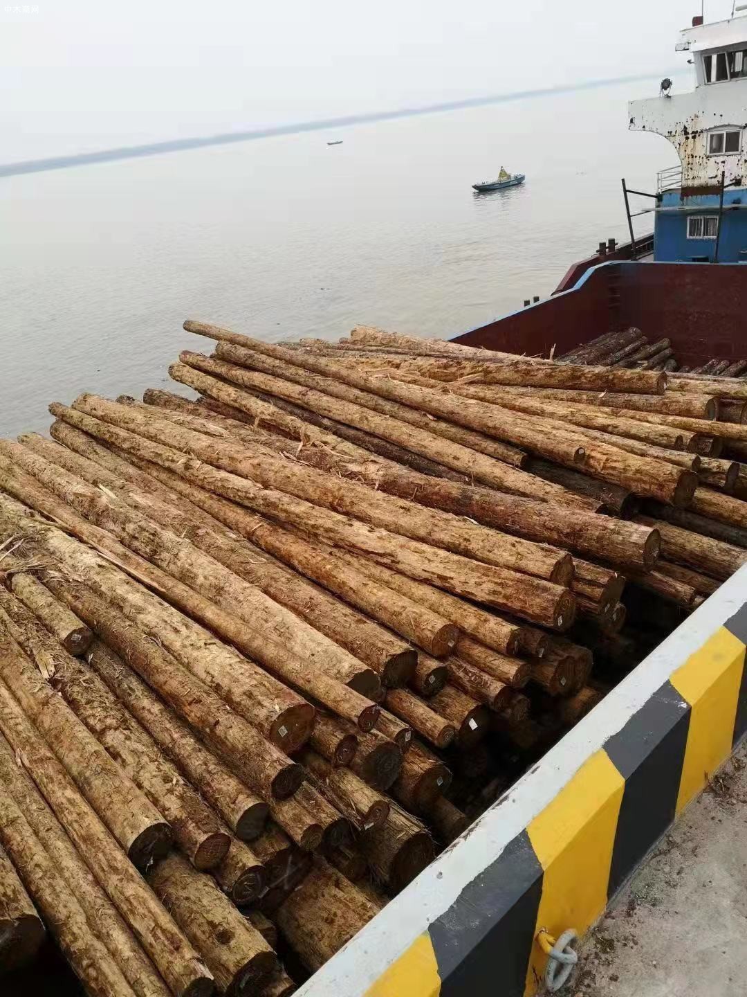 江西木材加工厂厂家直销建筑木方国内品牌