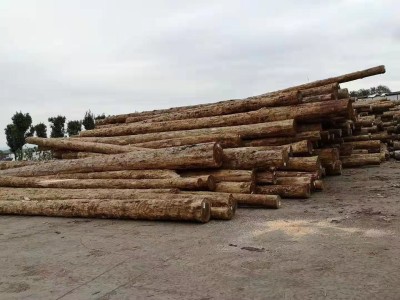 江西木材加工厂厂家直销建筑木方图3