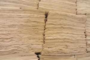 临沂兰山加速木业全产业链整体提升