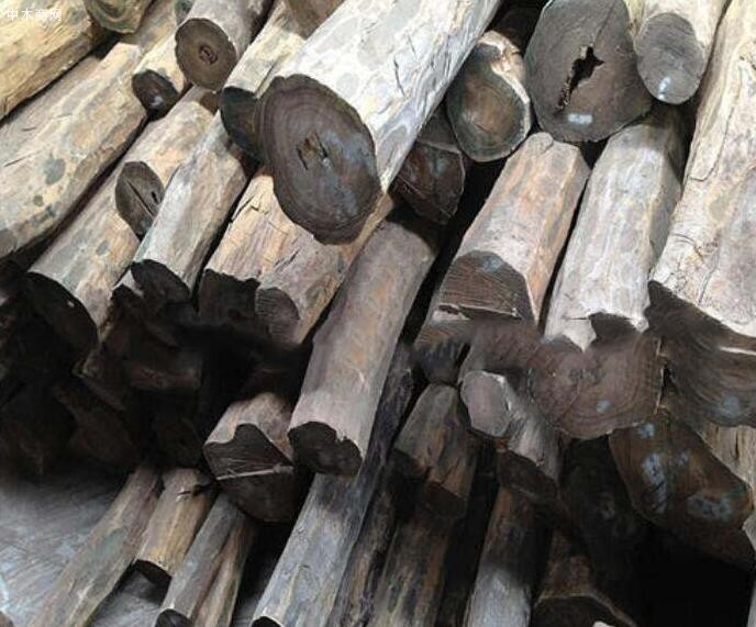 巴拉圭木材价格行情