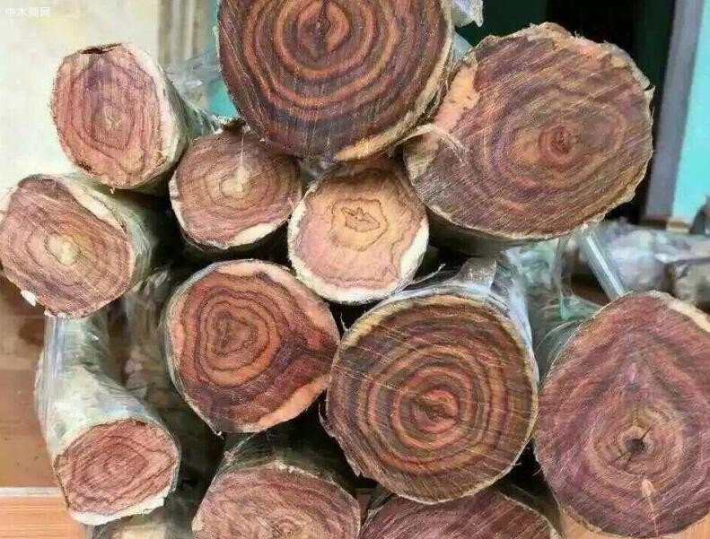 越南出口木材价格行情