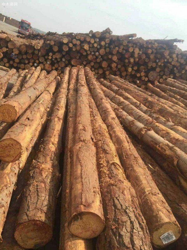 英国木材价格行情