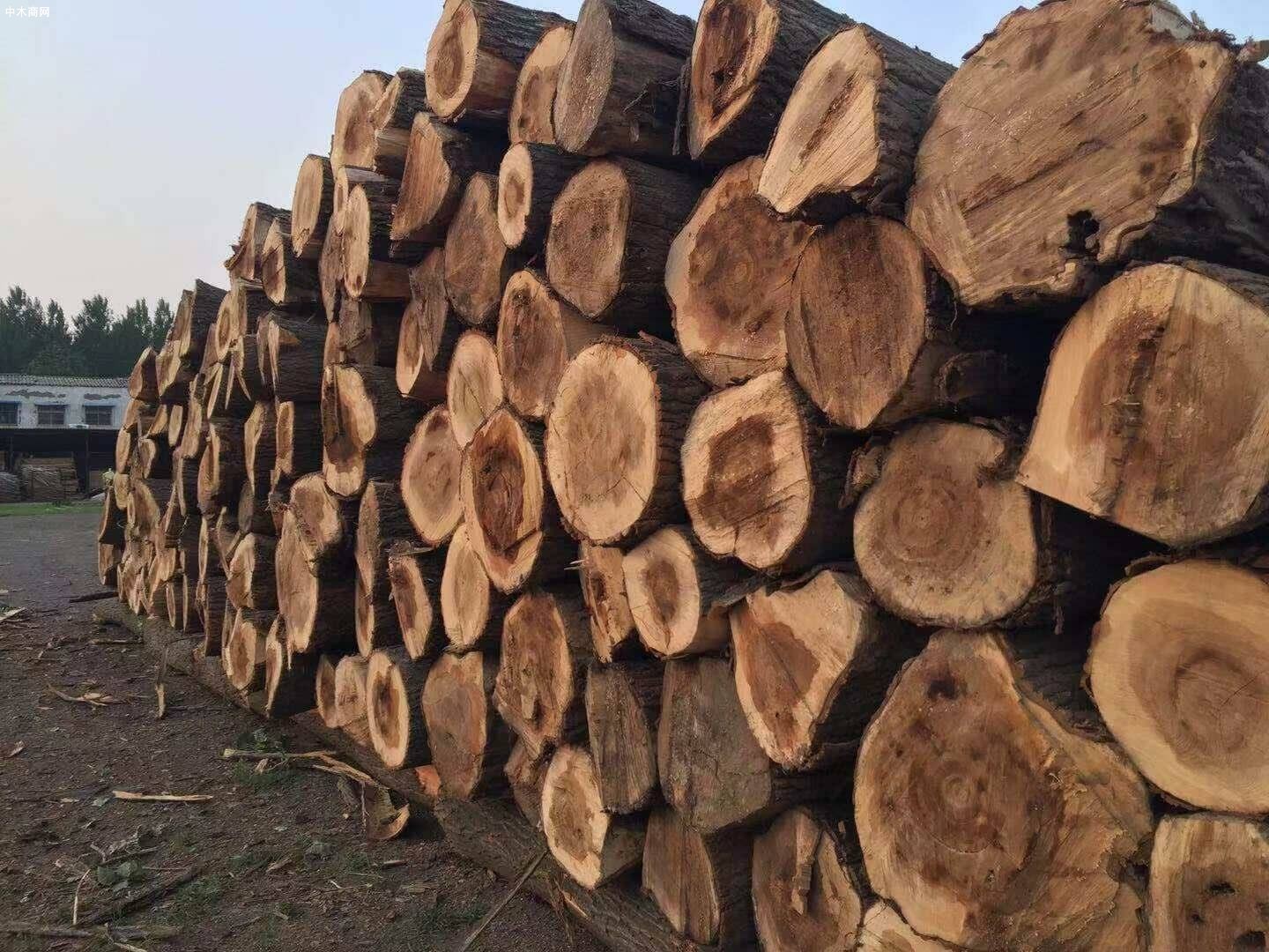 国内木材市场价格行情大调查