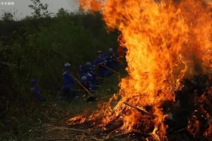 今年一季度全国森林草原火灾显著下降