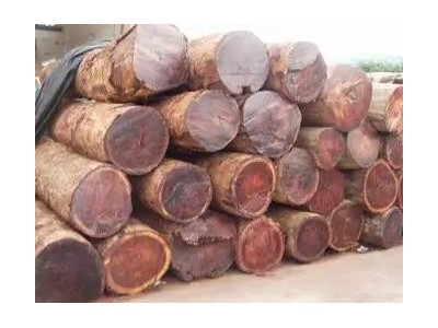 深圳蛇口港木材进口报关公司缅甸木材进口清关代理服务