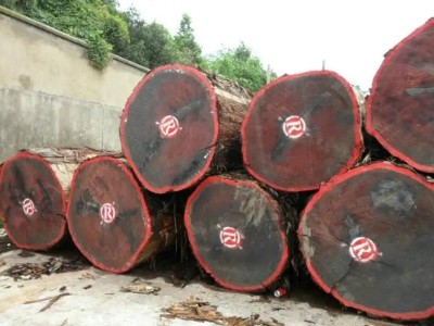 深圳蛇口港进口报关公司安达曼紫檀进口清关红木进口报关代理图3