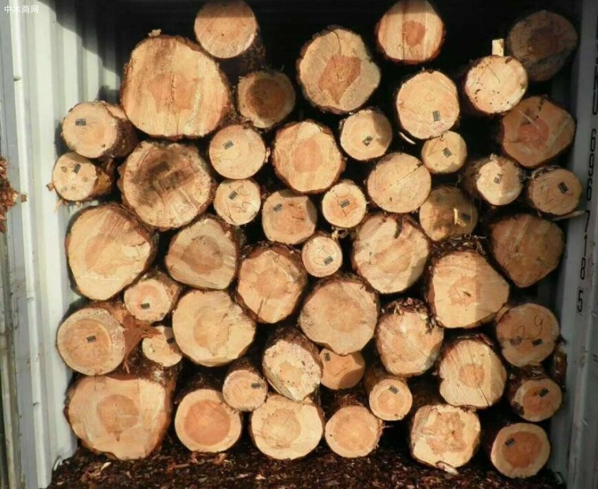 白俄：出口欧洲的木材将转至中国