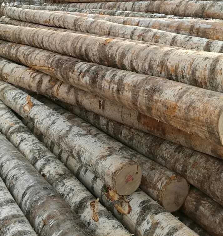 一季度俄木材占我国软木木材进口总量62.5%