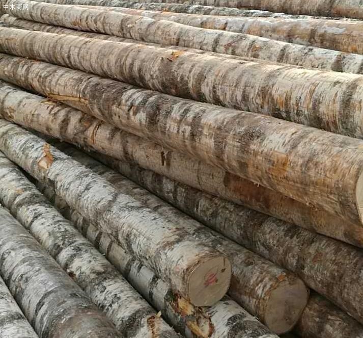 俄罗斯木材出口国