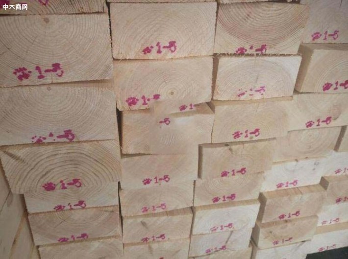 芬兰木材价格行情