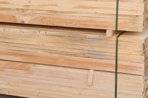 马尾海关在进境货运渠道木板材中截获土壤