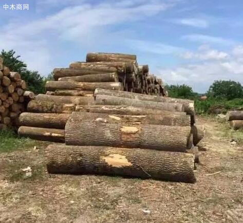 英国木材价格行情