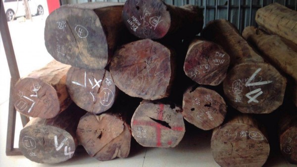老挝木材价格行情