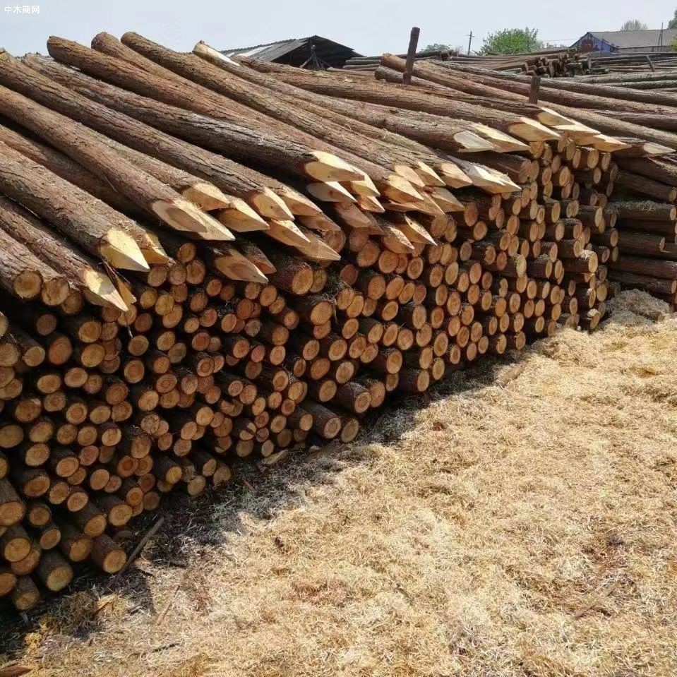 力争2023年贵州黎平县木材产业产值突破8亿元