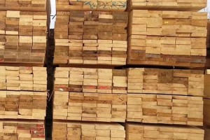 新西兰承诺仅对合法采伐的木材进行贸易