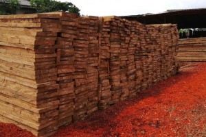 喀麦隆港口木材积压严重