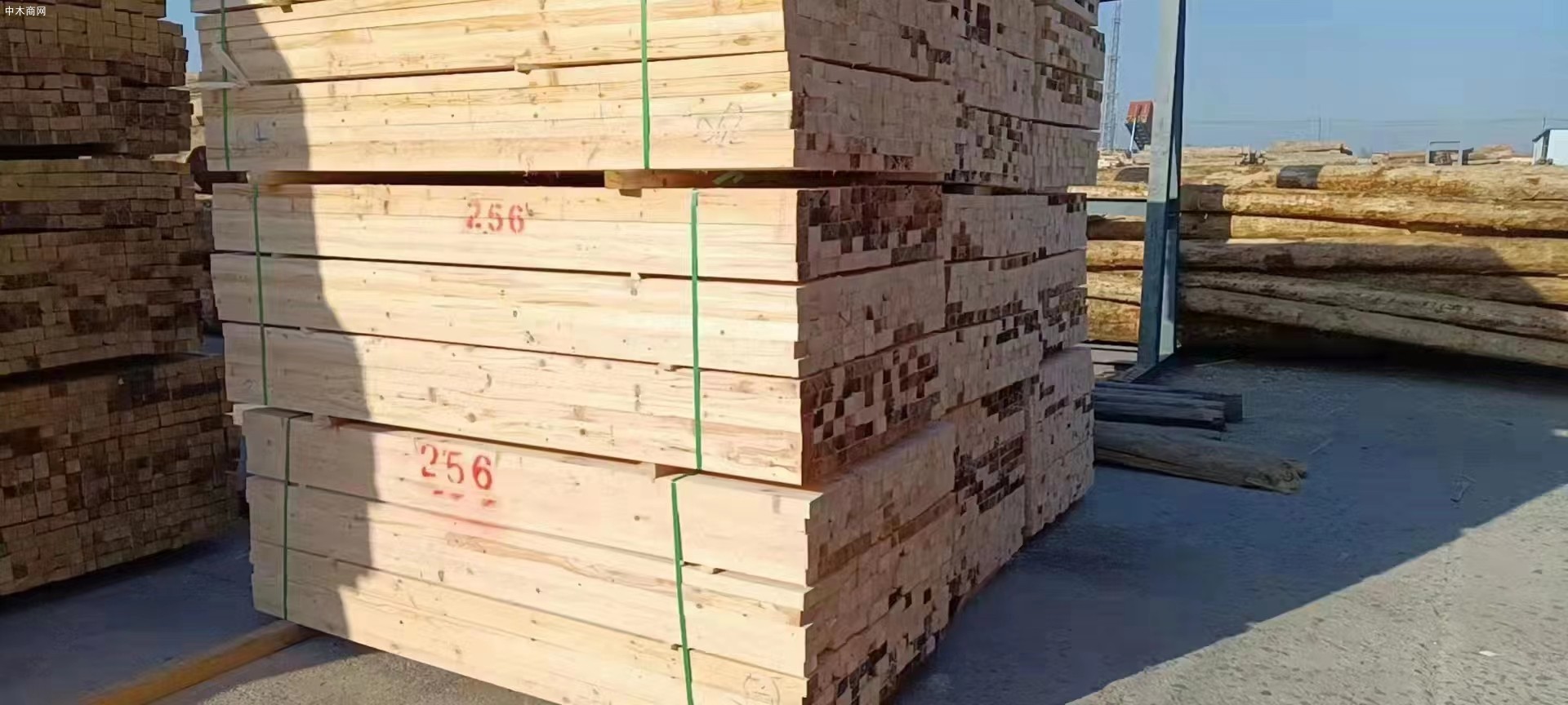 日照建筑木方生产厂家