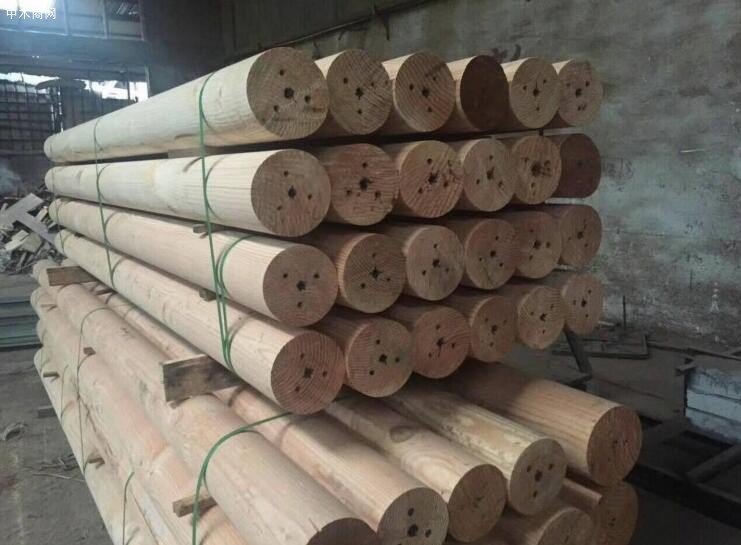 广东进口木材海铁联运多点开花超预期发展