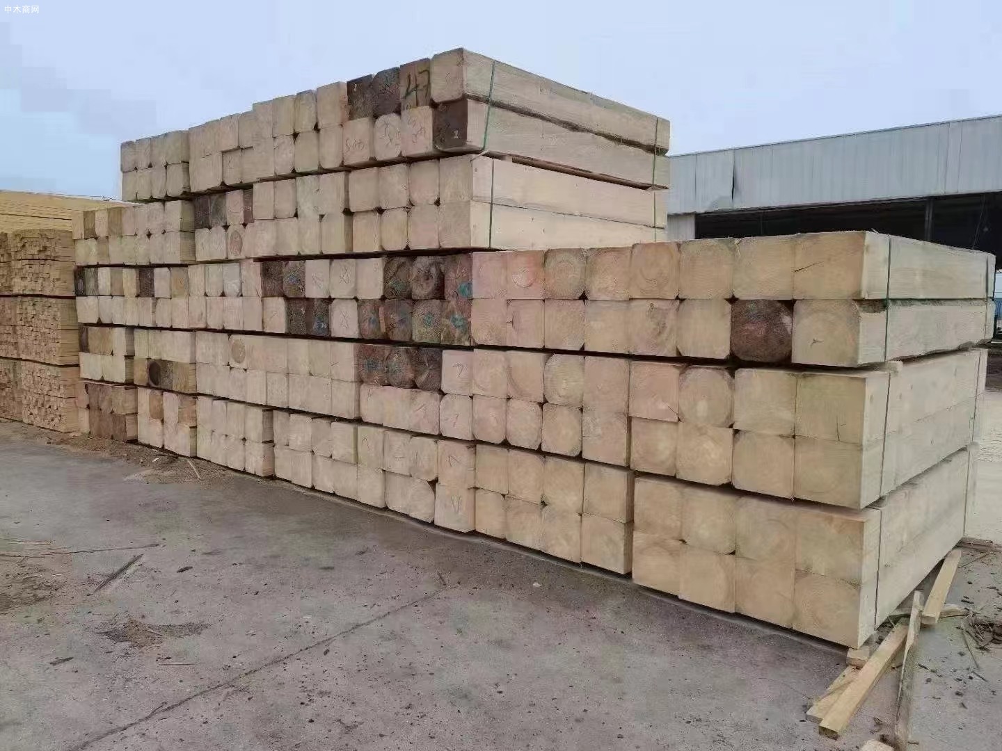 辐射松建筑木方板材厂家