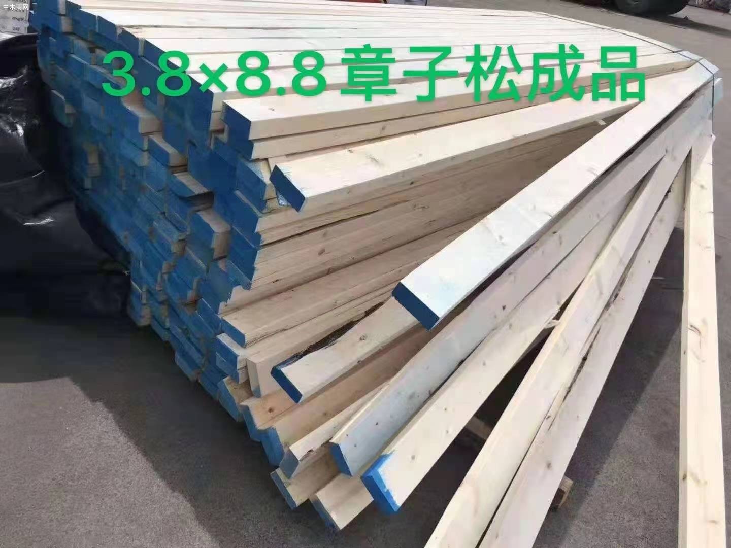 镇江樟子松实木板材生产厂家批发价格