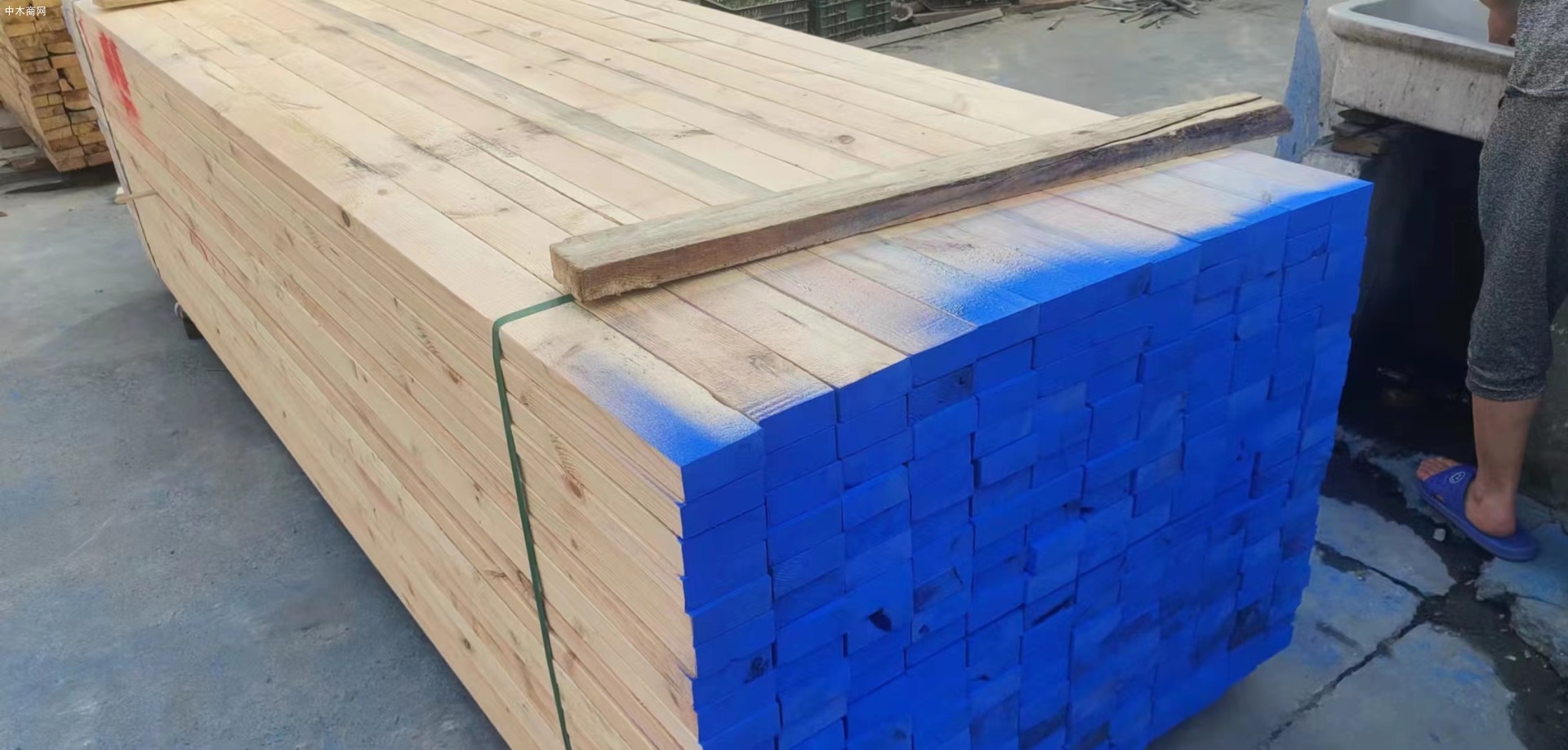 江苏樟子松实木板材生产