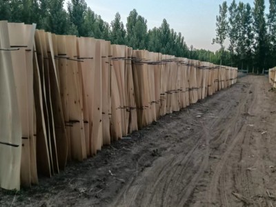 山西杨木旋切加工木地板背板厂家最新报价图4