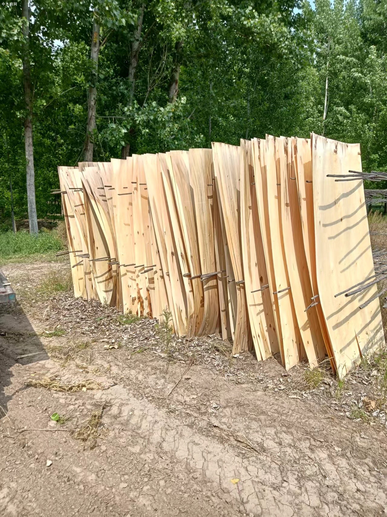 山西杨木旋切加工木地板背板厂家最新报价