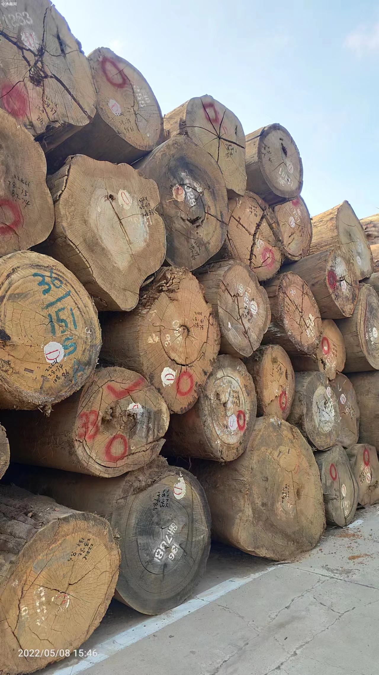 杂木原木生产加工厂家