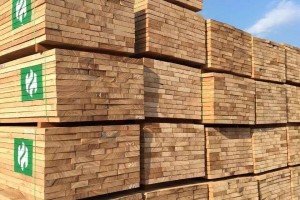 马来西亚木材认证标准遭质疑