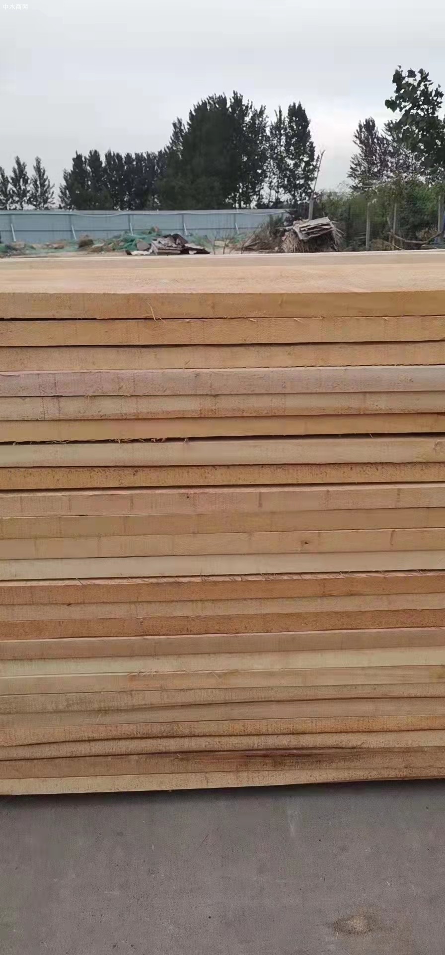 河南优浩杨木烘干板使用方法及优浩白杨木烘干板材的优缺点求购