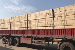 安徽48.64亿推进国家储备林建设