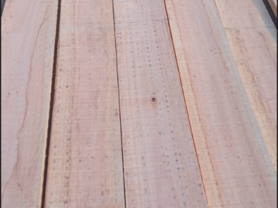 巴西进口桉木木皮芯板、板材、原木，欢迎垂询~图4