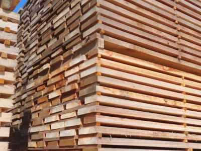 巴西进口桉木木皮芯板、板材、原木，欢迎垂询~图3