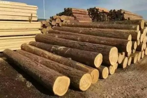 5月份新西兰原木价格小幅上涨