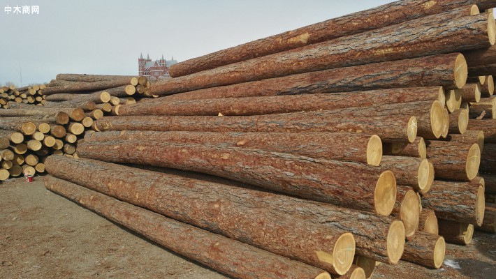 因对俄制裁木材短缺立陶宛将阻止更多木材出口