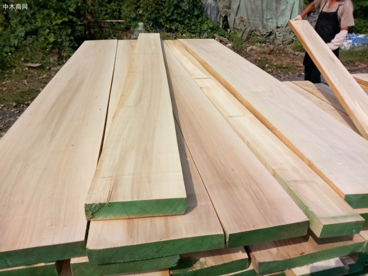 宜昌白杨木板材优缺点及白杨木板材的用途介绍批发