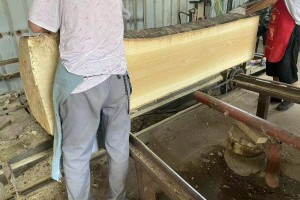 白椿木（国产白蜡）烘干板材选择临颖县文锋木业