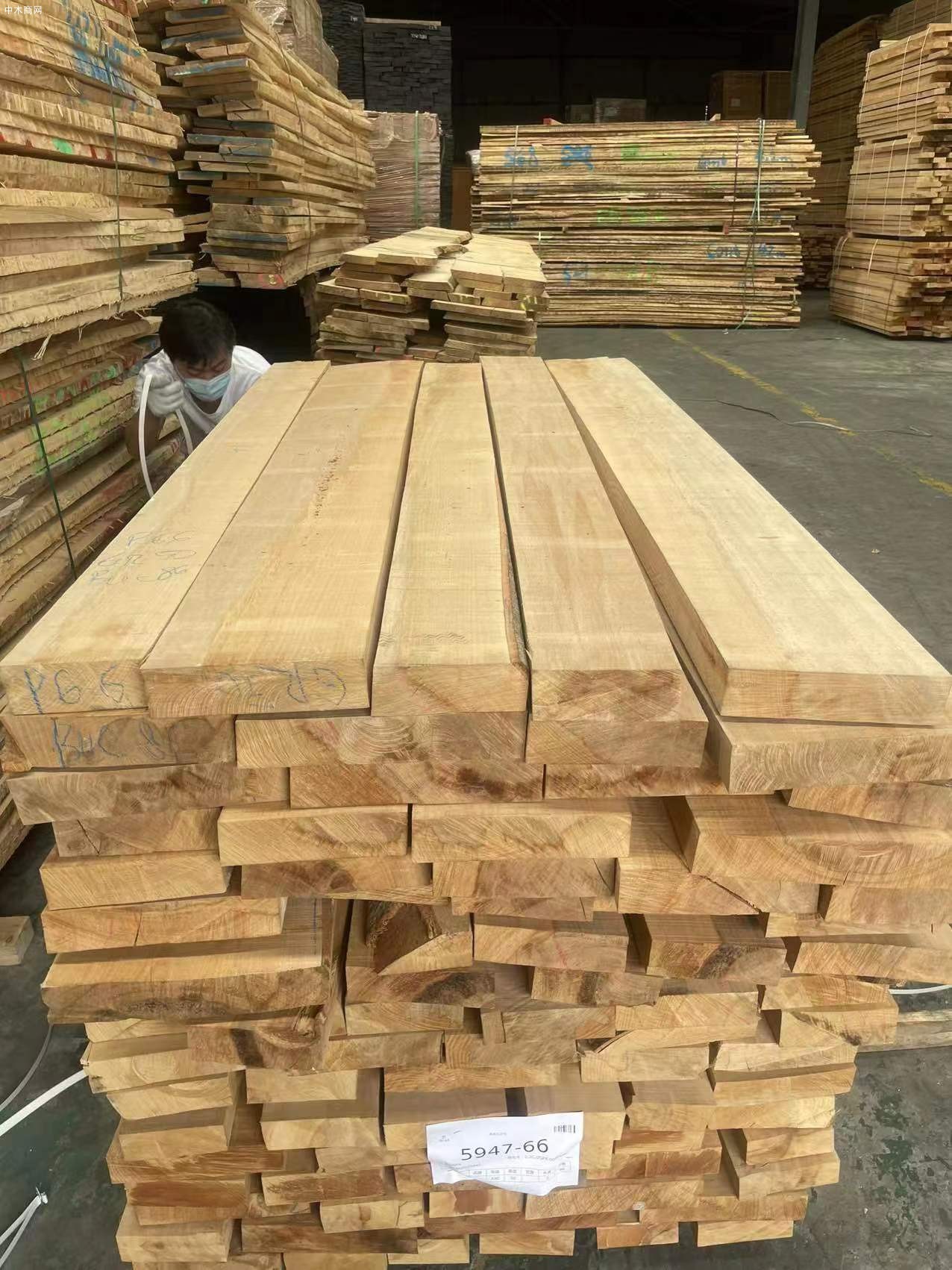 上海榉木板材AB级