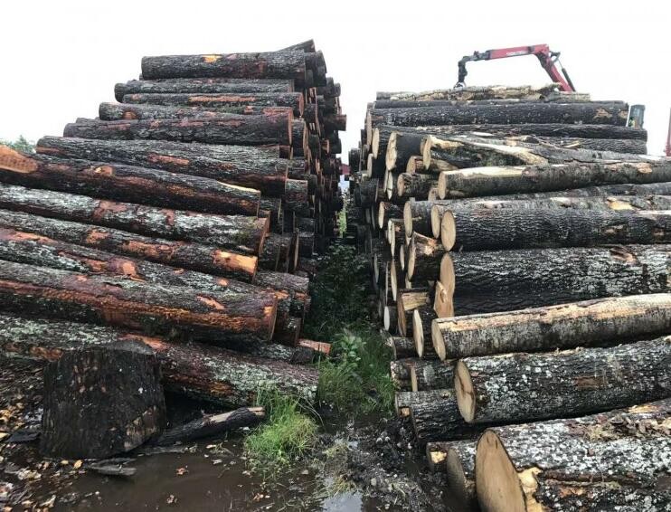 波黑部长会议批准木材临时出口禁令