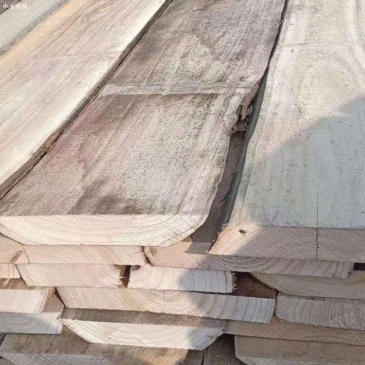 森培木业供应桐木板材原木桐木拼板图片