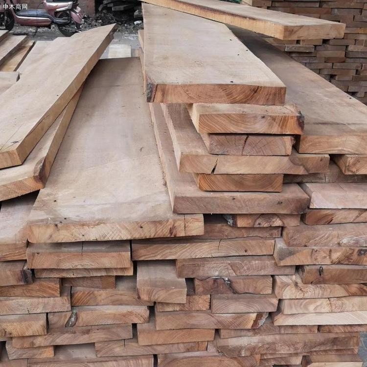 森培木业供应桐木板材原木桐木拼板价格