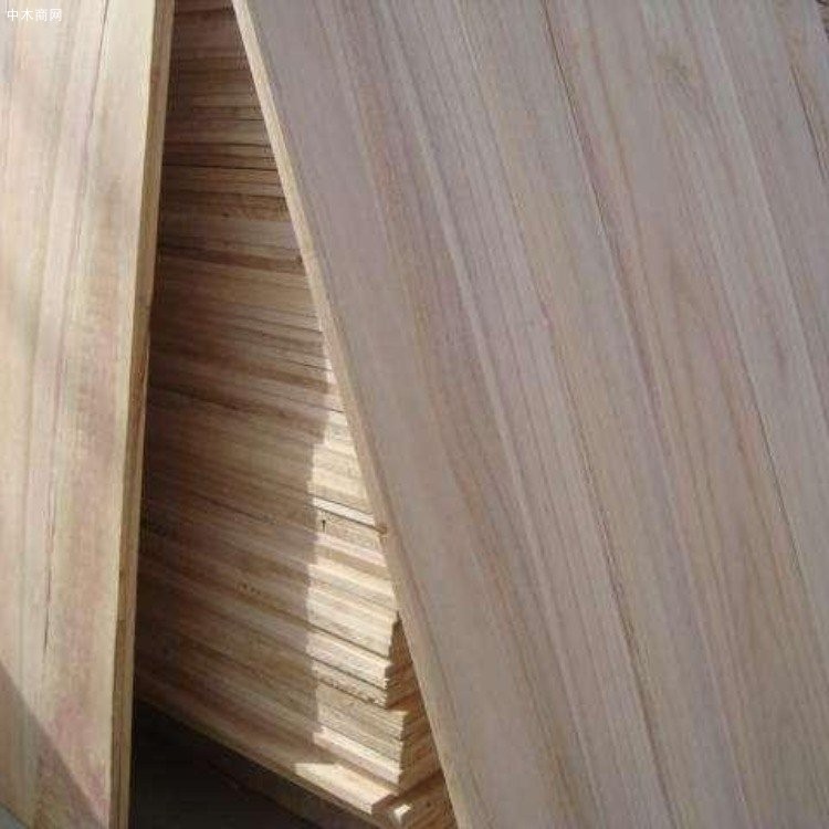 森培木业供应桐木板材原木桐木拼板品牌