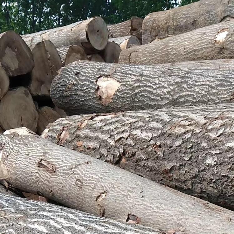 森培木业供应桐木板材原木桐木拼板厂家