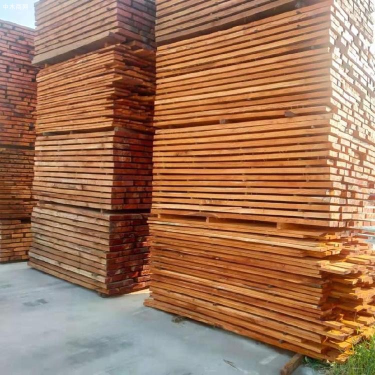 森培木业供应桐木板材原木桐木拼板批发