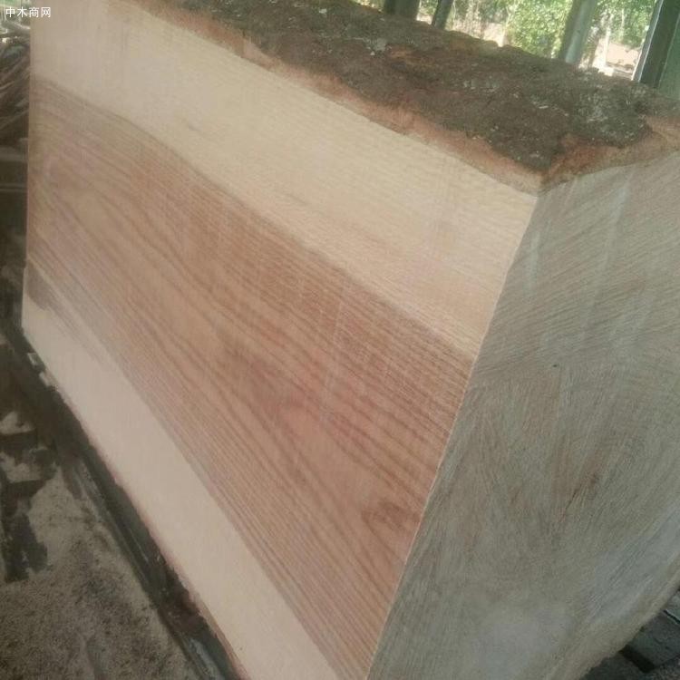 森培木业供应桐木板材原木桐木拼板供应