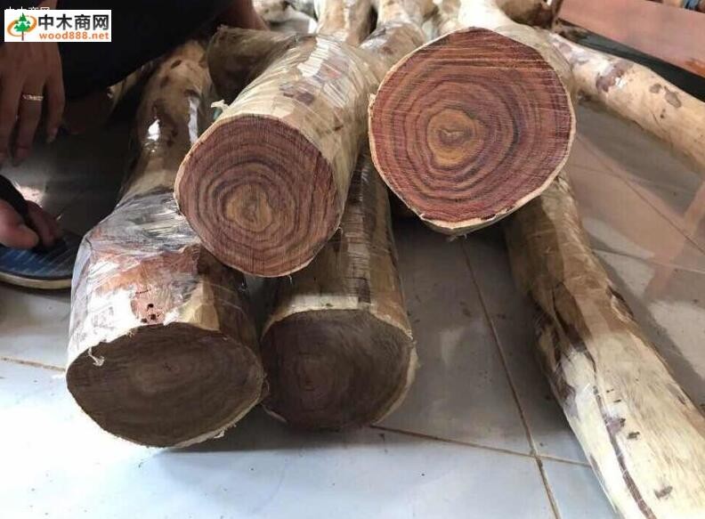 越南木材价格行情