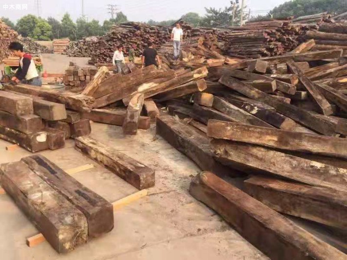 巴基斯坦木材进口豁免植物检疫证书将持续到12月