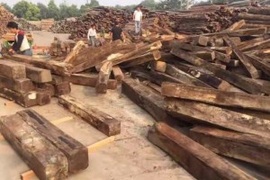 巴基斯坦木材进口豁免植物检疫证书将持续到12月