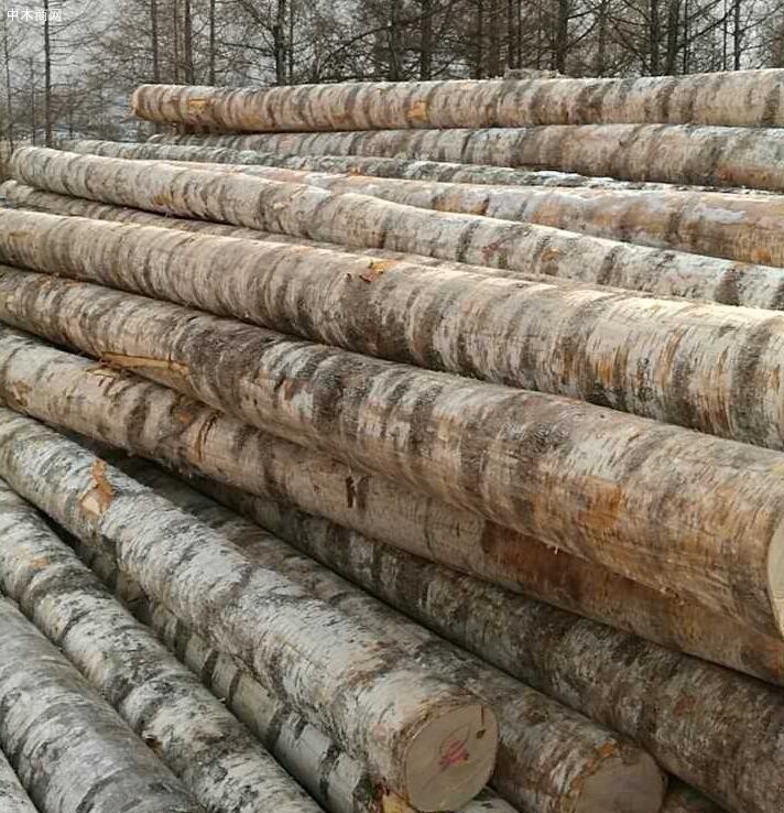 俄罗斯木材出口企业看好中东、亚洲和拉美市场